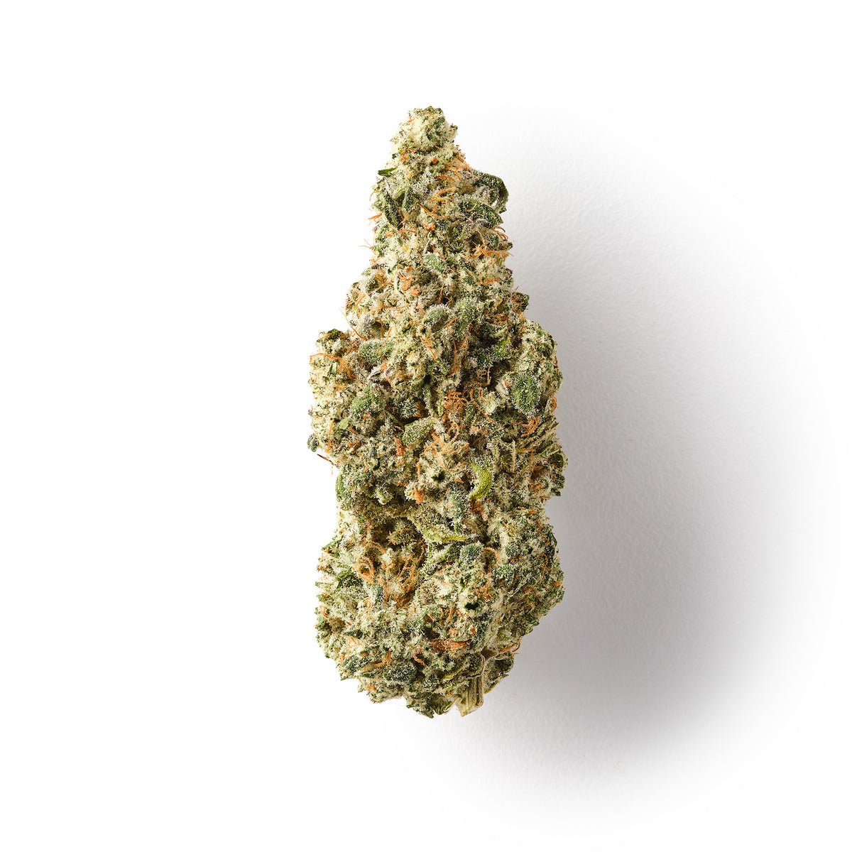 GOATzilla | CBD Flower | Exquisite Indoor | 19% CBD