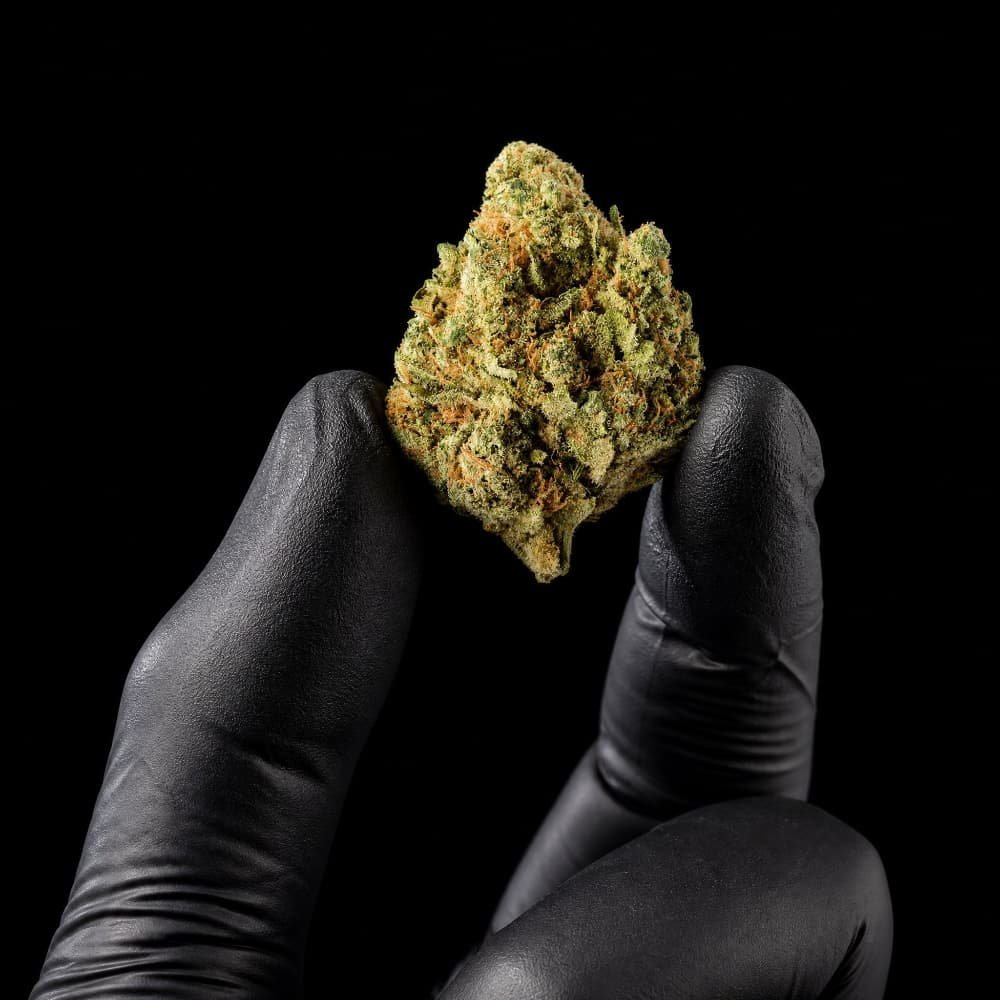 M8 Amnesia CBD Flower - image 3 of 3