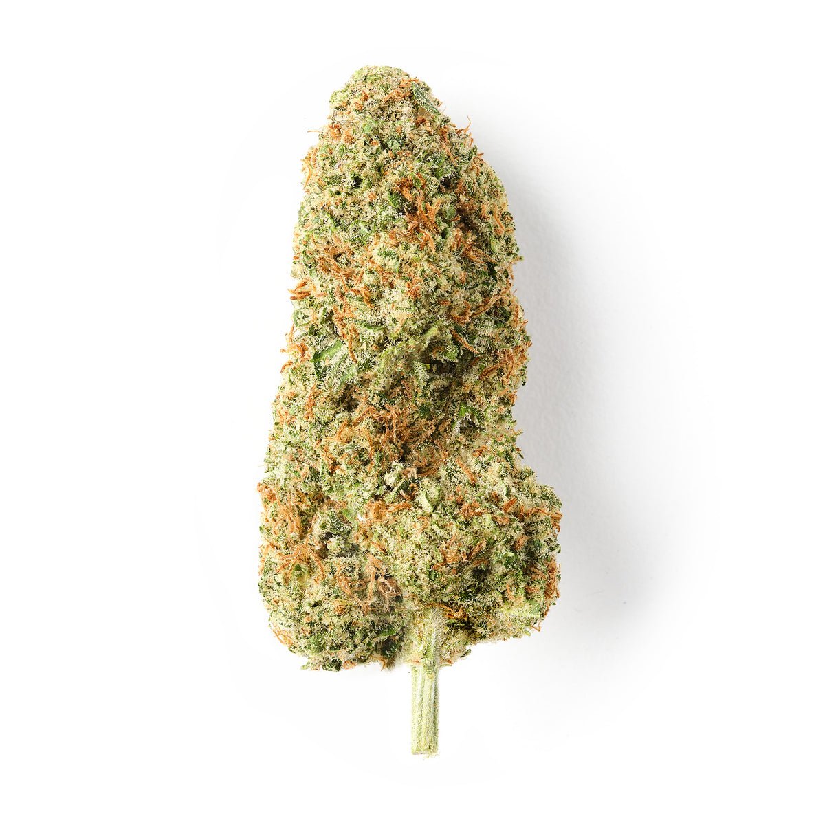 Cheese | CBD Flower | Indoor | Hash Caviars | 18% CBD