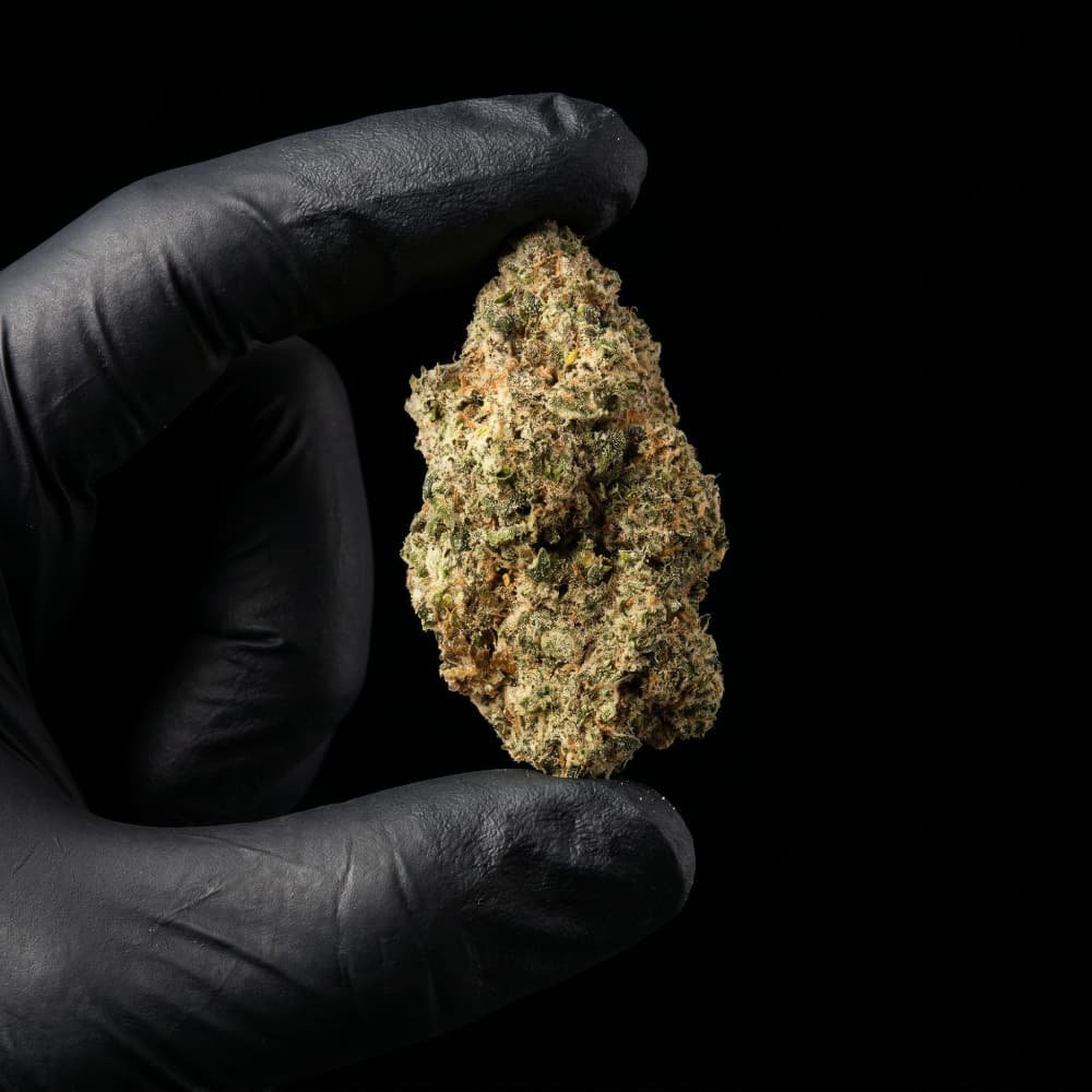 Legendary Skunk CBD Flower - image 3 of 3