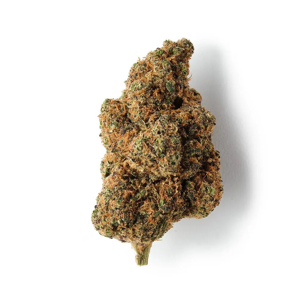 Tropical Dream | CBD Flower | Exquisite Indoor | 13% CBD