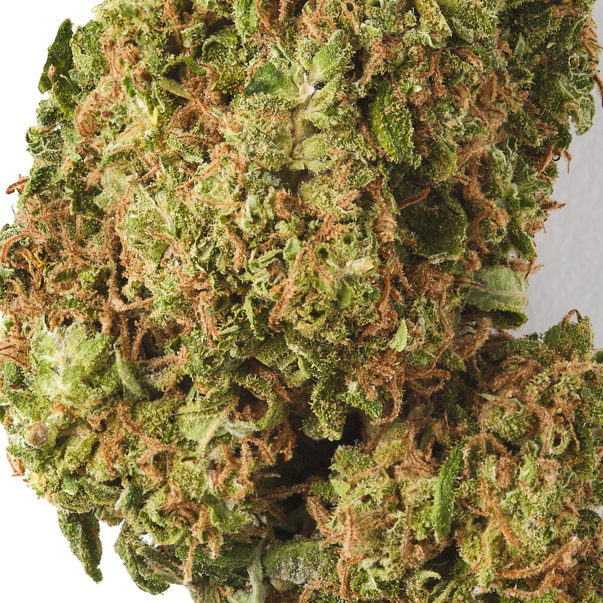 Lemon Haze CBD Flower - image 2 of 3