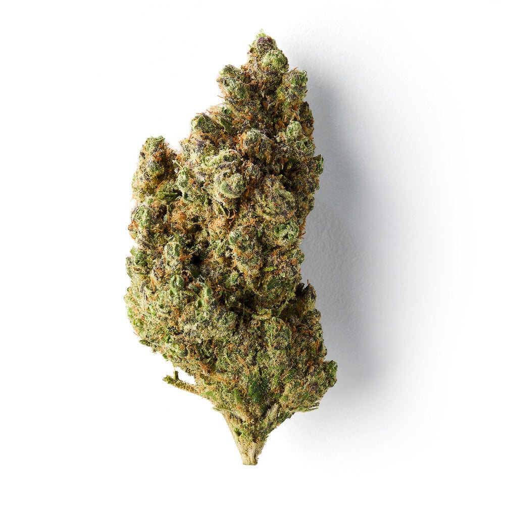 Maui | CBD Flower | Indoor | Hash Caviars | 18% CBD