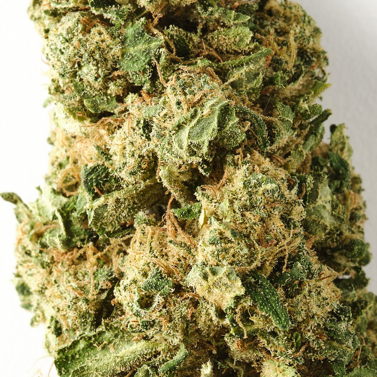 Chocolope CBD Flower - image 2 of 3