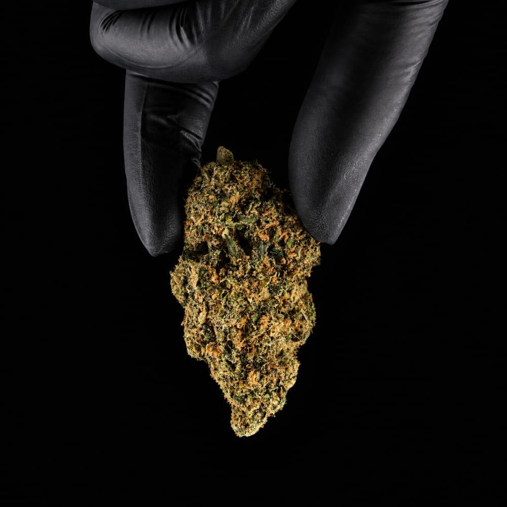 Slurp CBD Flower - image 2 of 3