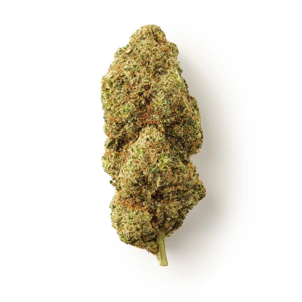 Orangello | CBD Flower | Indoor | Hash Caviars | 17% CBD