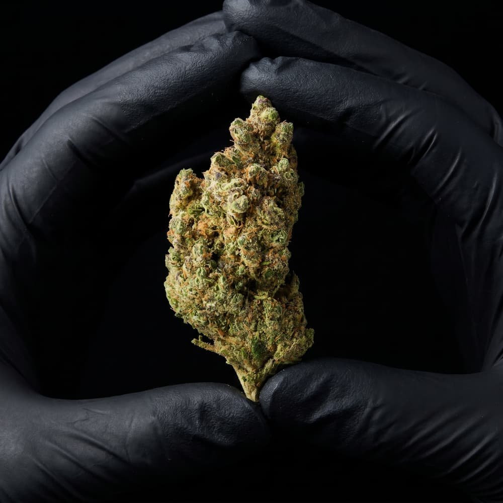 Maui CBD Flower - image 3 of 3