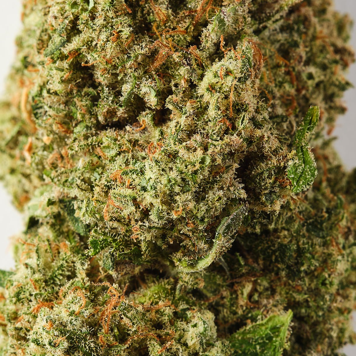 Orange Martini CBD Flower - image 2 of 3