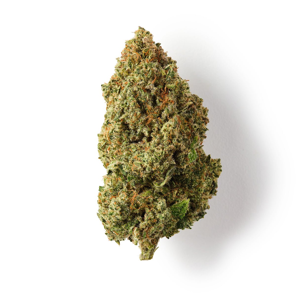 Orange Martini | CBD Flower | Exquisite Indoor | 18%