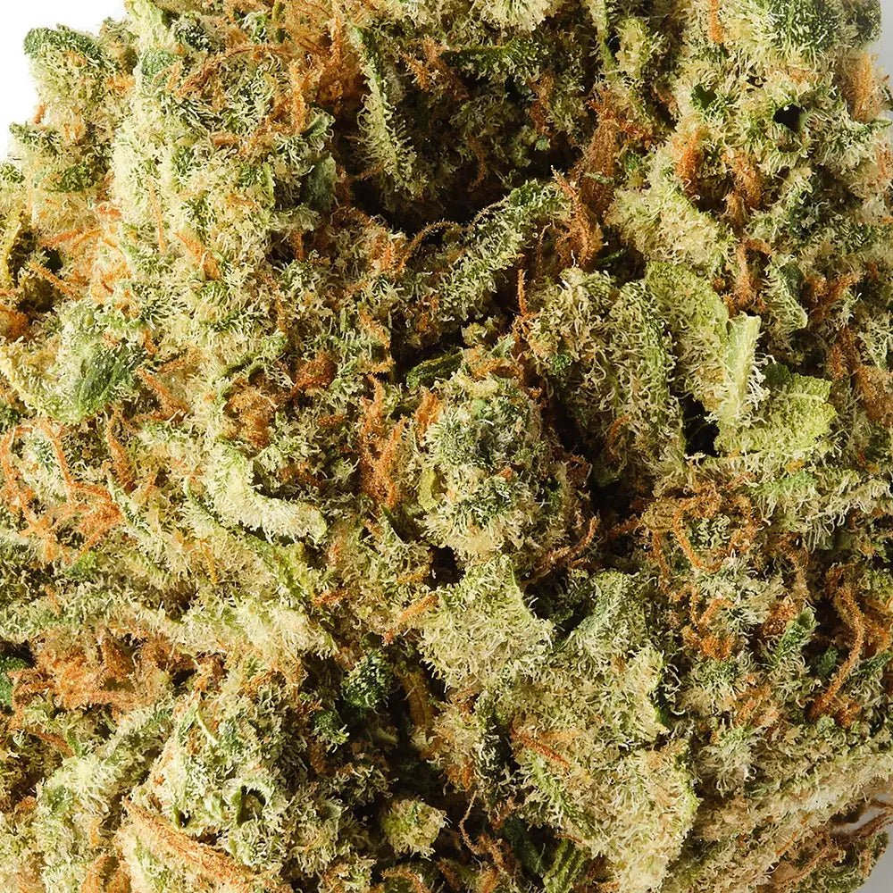 M8 Amnesia CBD Flower - image 2 of 3