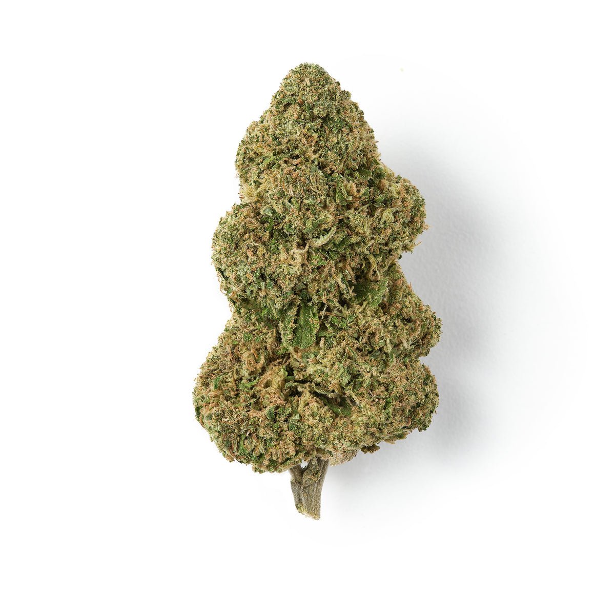 Candy | CBD Flower | Glasshouse + Light Support | 11% CBD