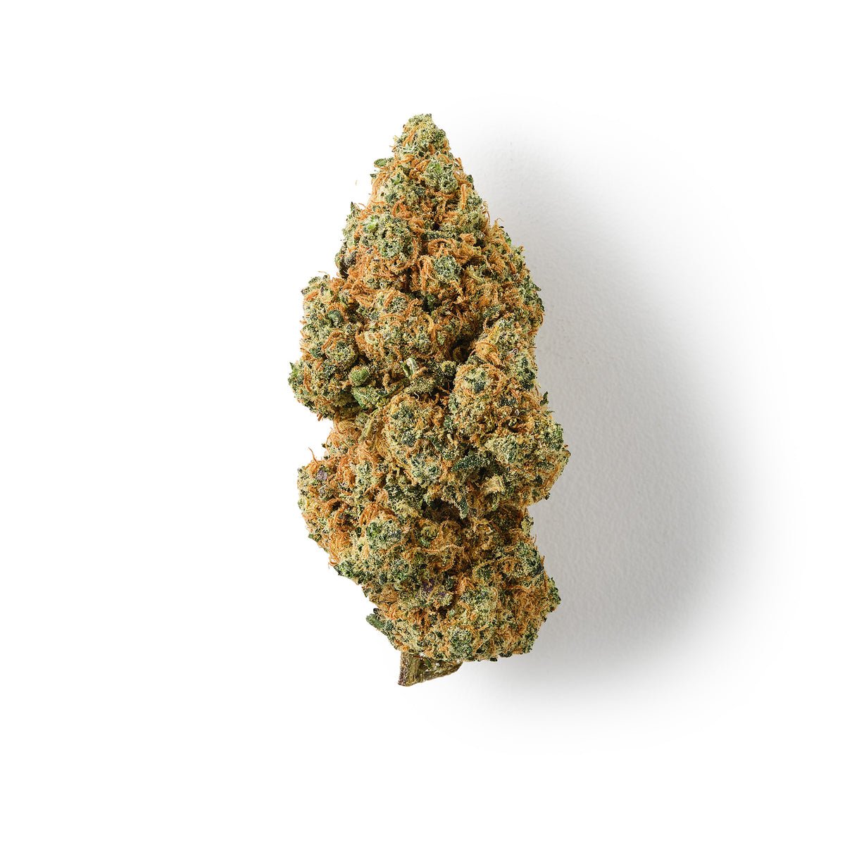 Blueberry Muffin | CBD Flower | Exquisite Indoor | 16% CBD