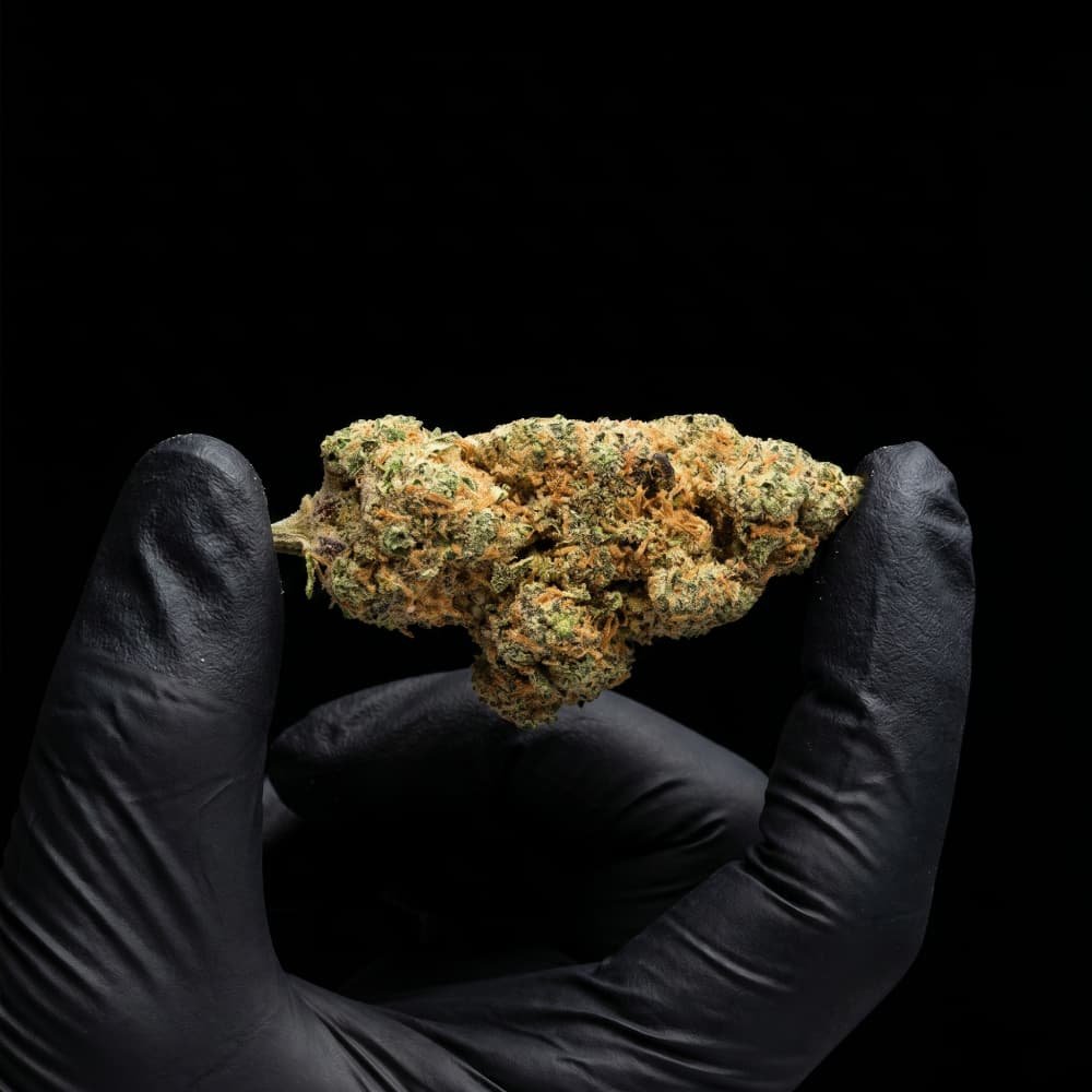 Fruit Sushi CBD Flower - image 3 of 3