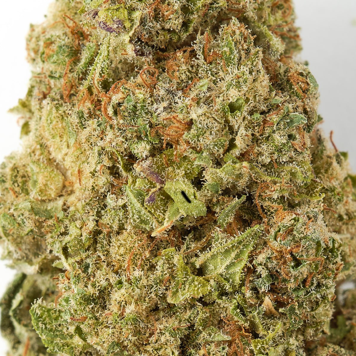 CF Haze CBD Flower - image 2 of 3