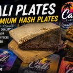 Types of Cannabis Concentrates Explained