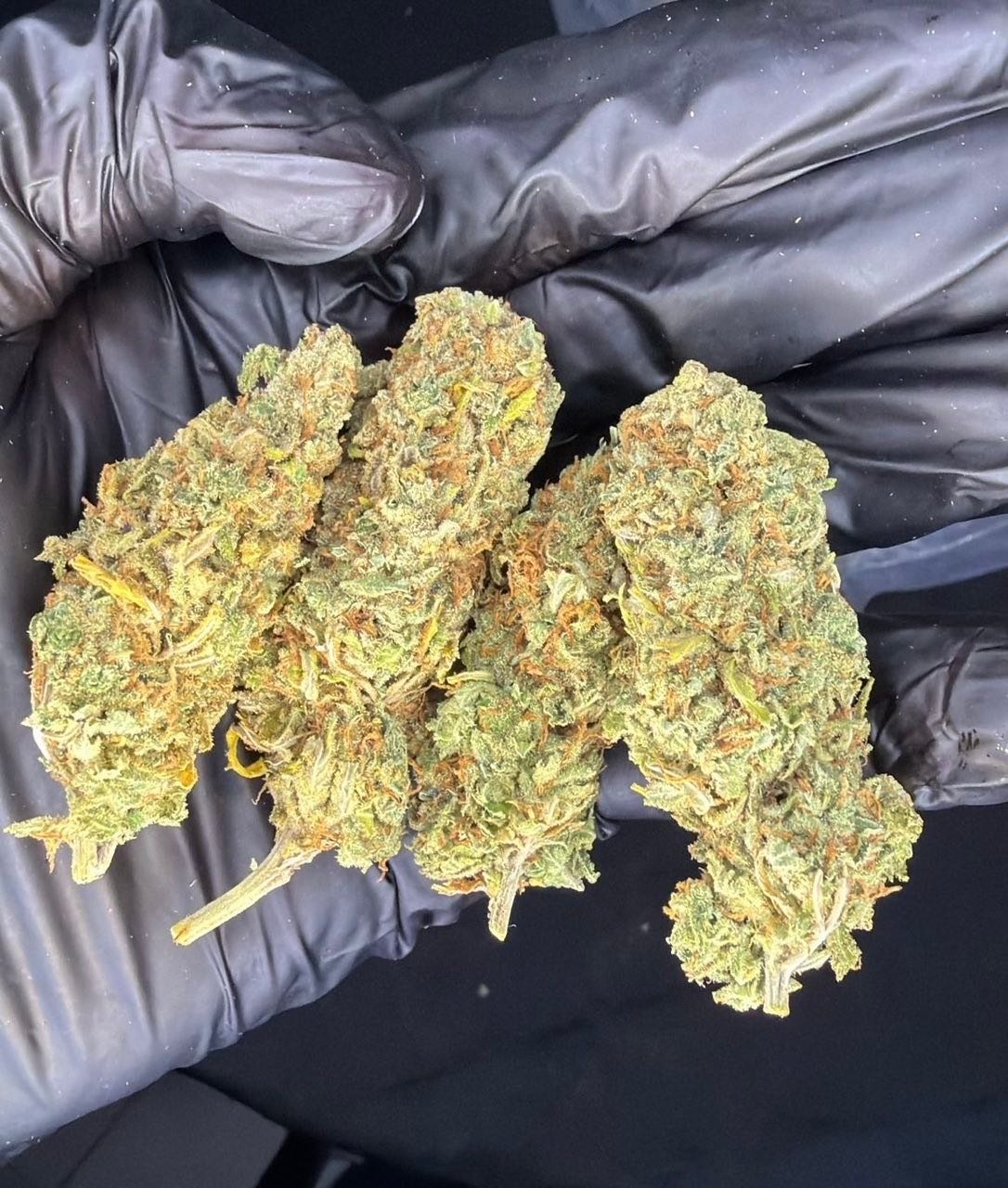 CANDY KUSH