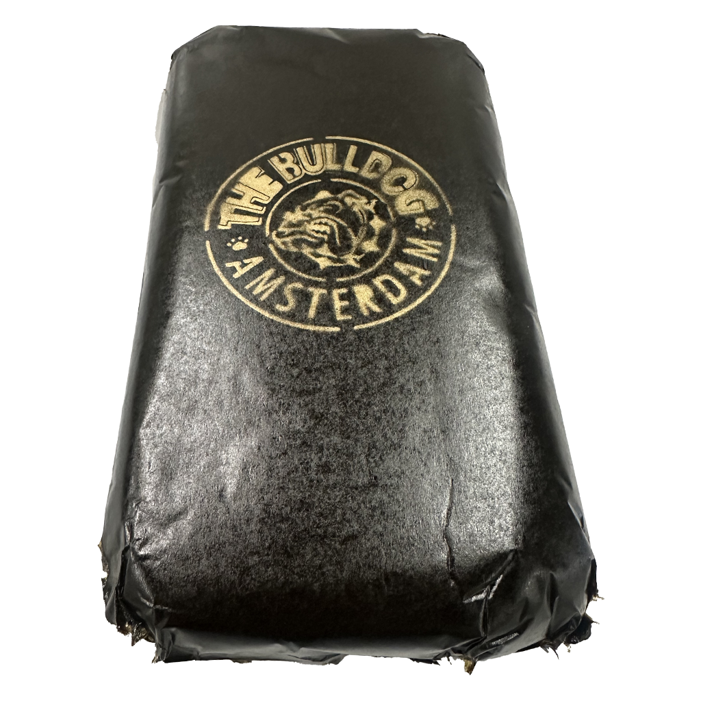 Bull Dog Hash Amsterdam