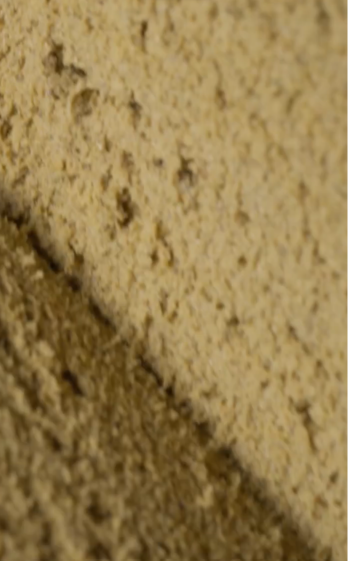 The Bull Dog Blonde Dutch Hash - image 3 of 3